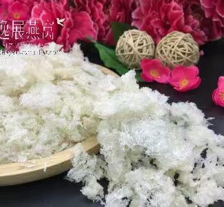 Premium Broken Bird's Nest